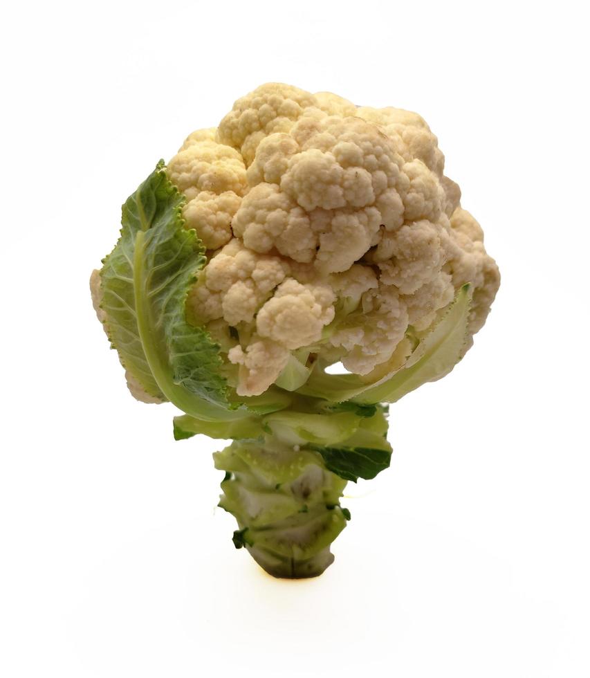 Cauliflower isolated in white background photo