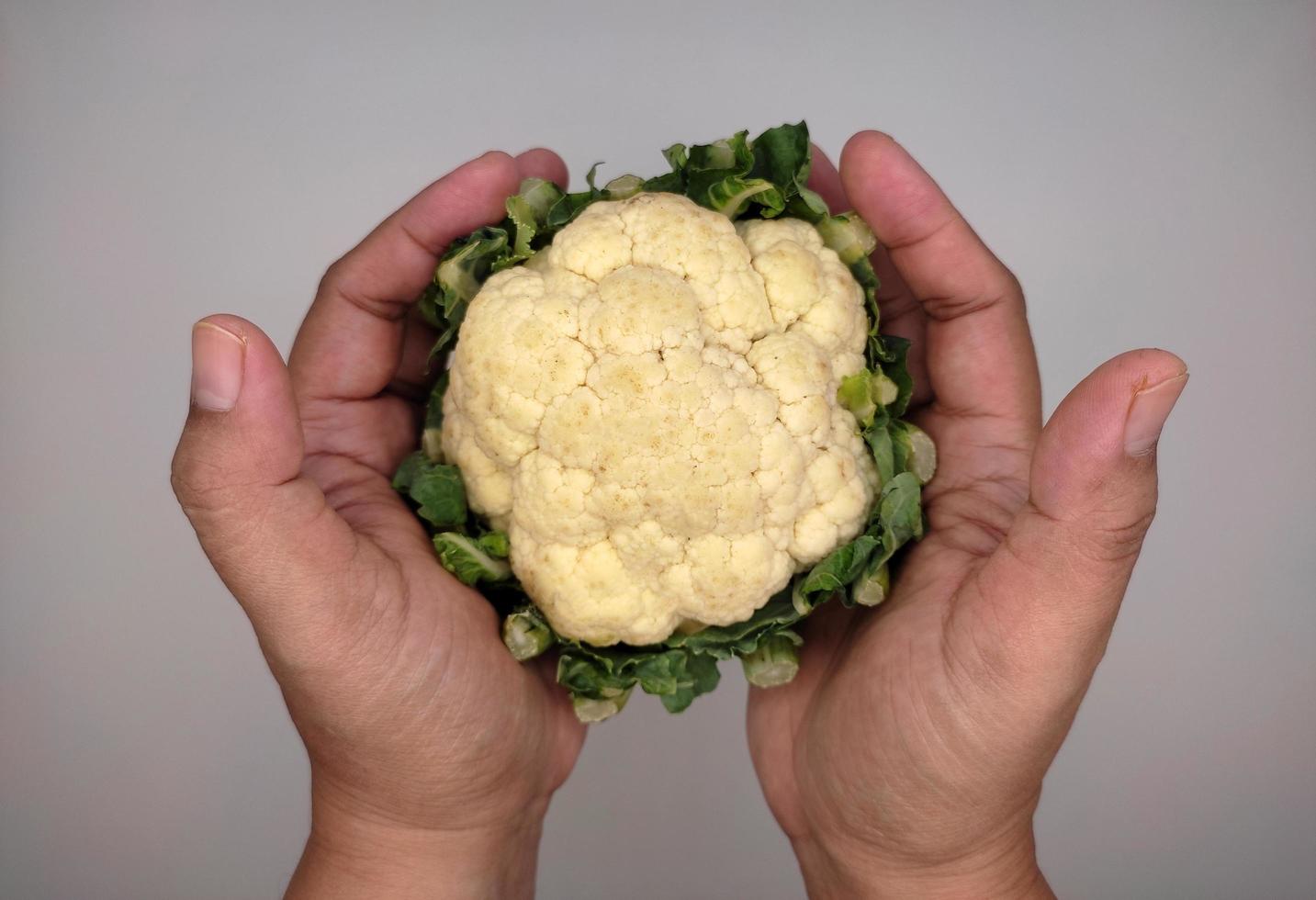 cauliflower is above both hands photo