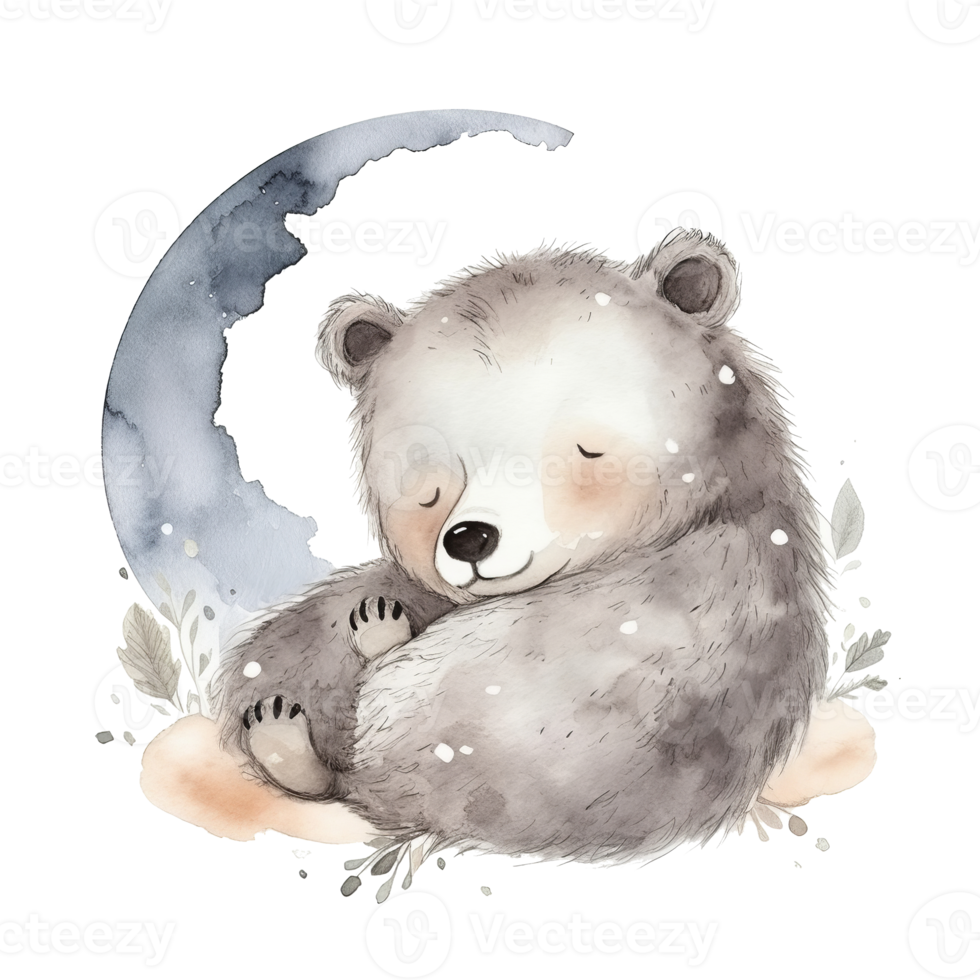 Cute watercolor night bear. png