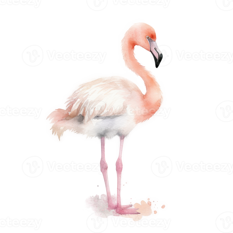 Pink watercolor flamingo png