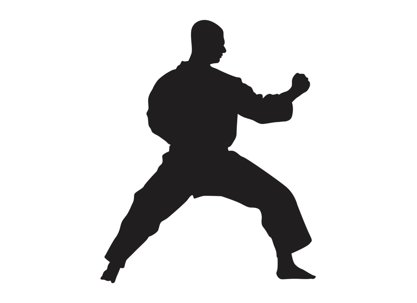 Silhouette of a Karate png