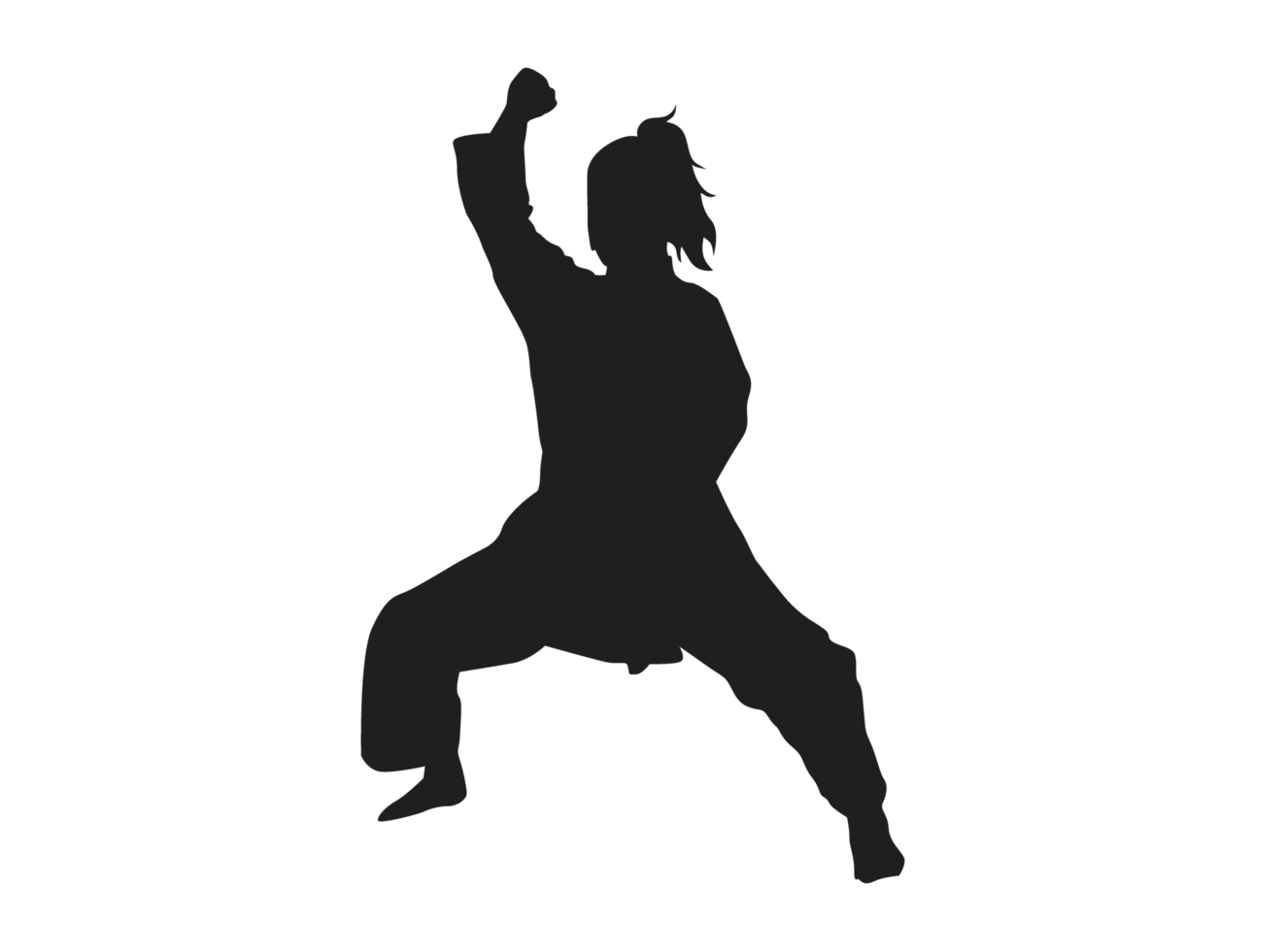 Silhouette of a Karate Girl png