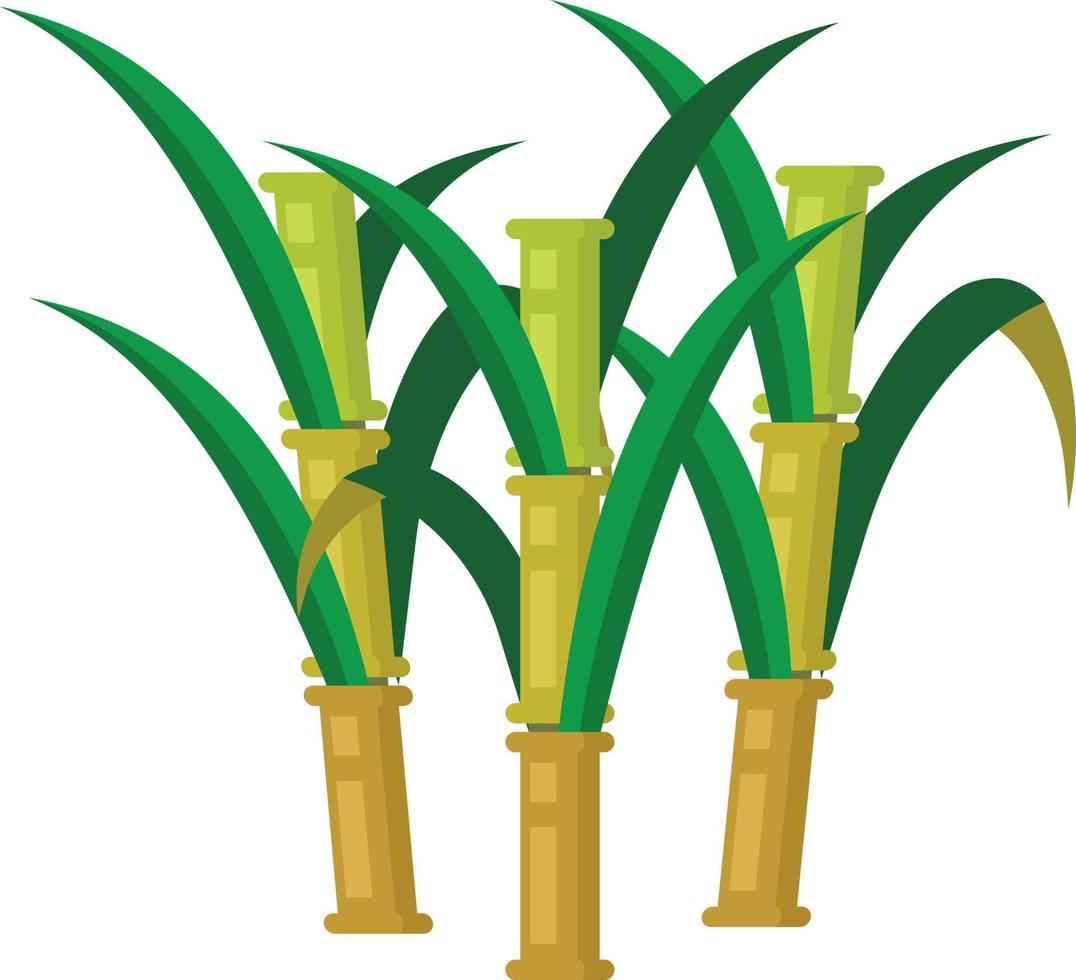 Vector Image Of Sugar Cane Plant