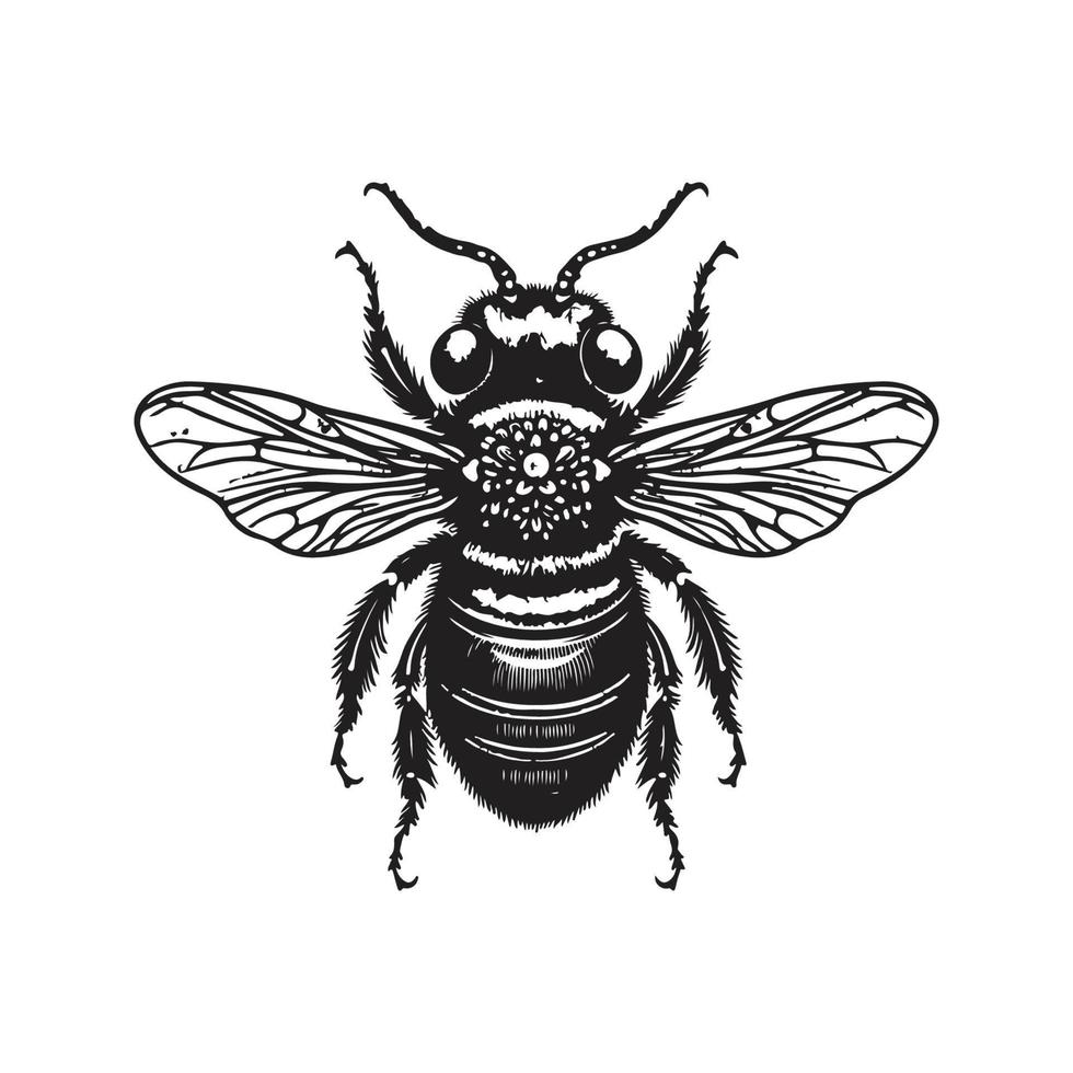 bee, vintage logo concept black and white color, hand drawn illustration vector