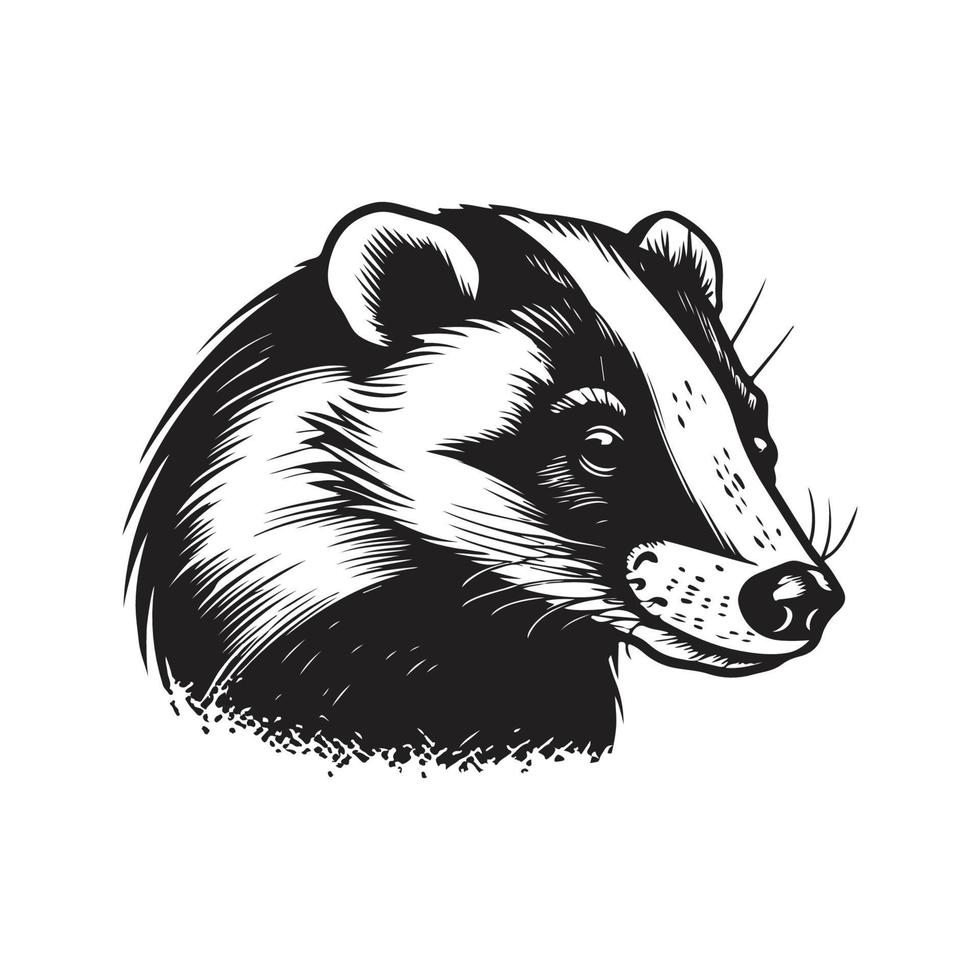 badger, vintage logo concept black and white color, hand drawn illustration vector