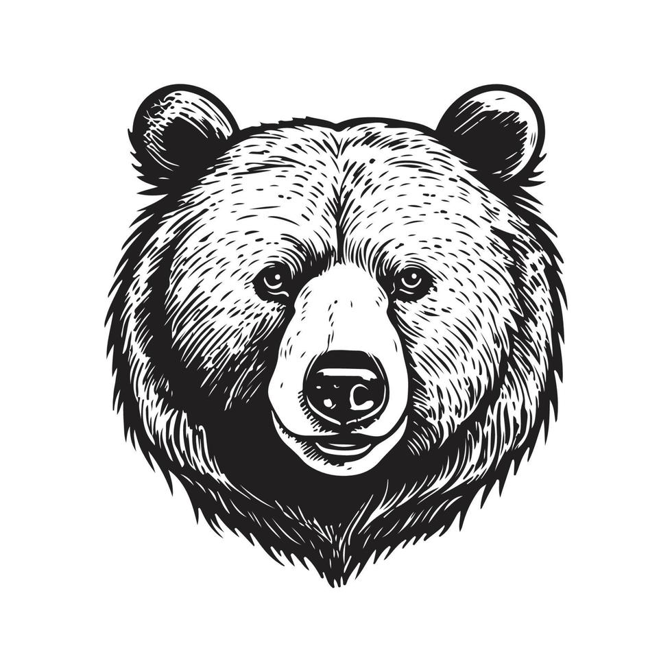 bear, vintage logo concept black and white color, hand drawn illustration vector