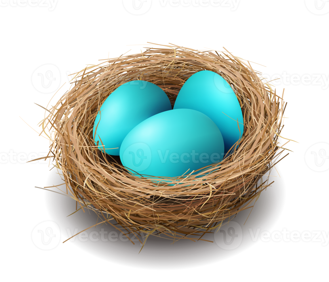 Easter blue eggs in a nest, isolated design element. png