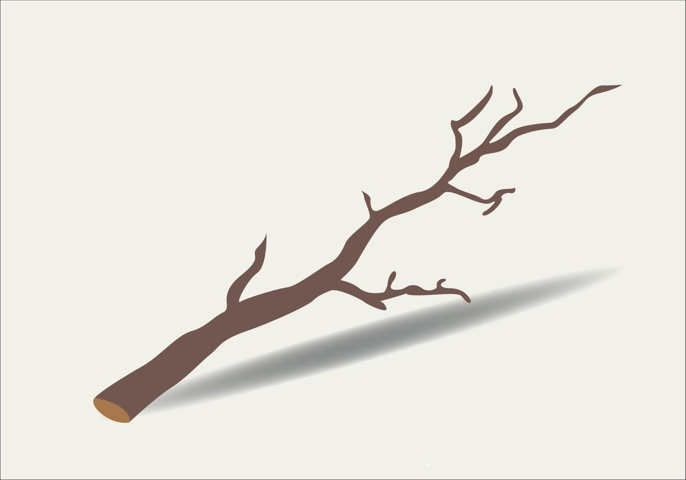 Black line art brunches. Abstract tree trunk. Vector illustration