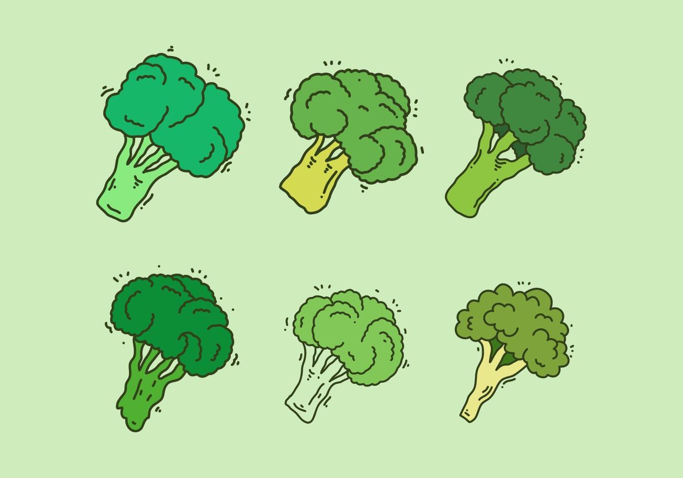 Green color of broccoli set design vector