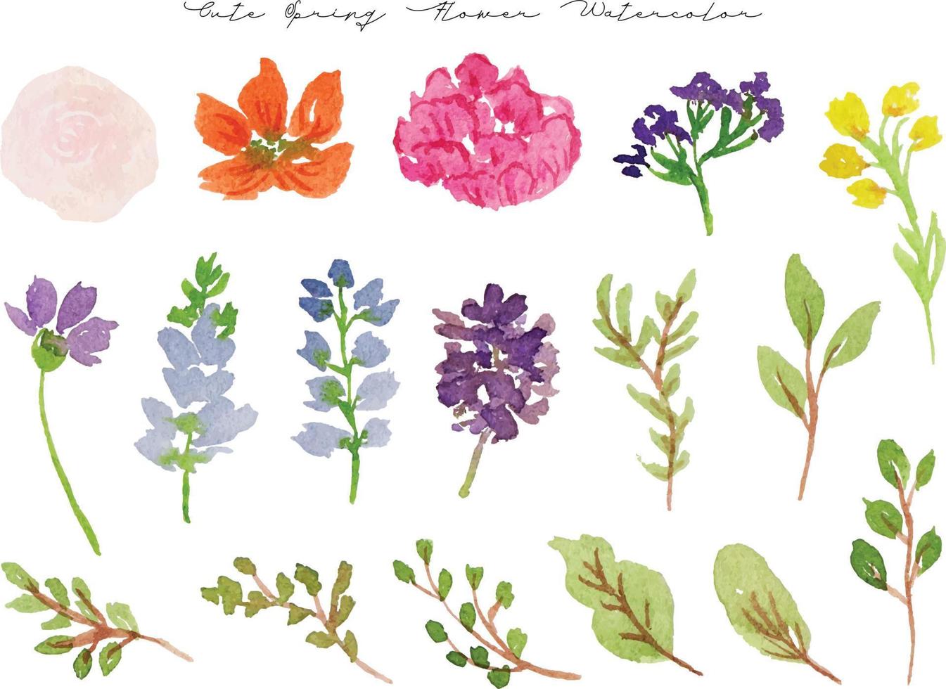 hermosa primavera y verano salvaje flor acuarela colección vector