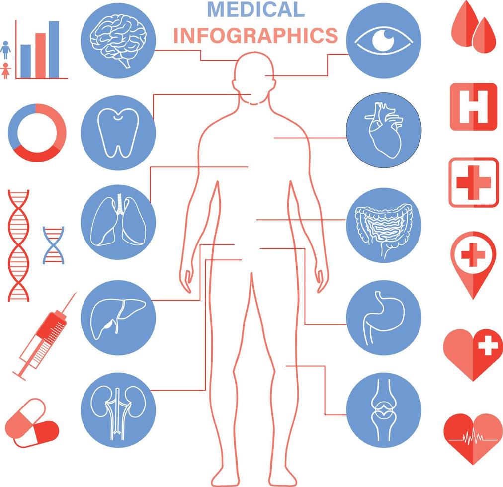 Human organ icon set vector illustration