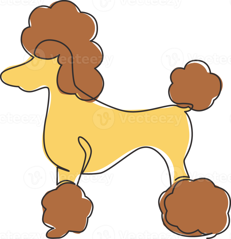 One single line drawing of simple cute poodle puppy dog icon. Pet shop logo emblem vector concept. Trendy continuous line graphic draw design illustration png