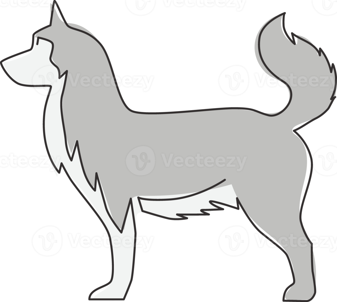 Single continuous line drawing of simple cute siberian husky puppy dog icon. Pet animal logo emblem vector concept. Trendy one line draw graphic design illustration png