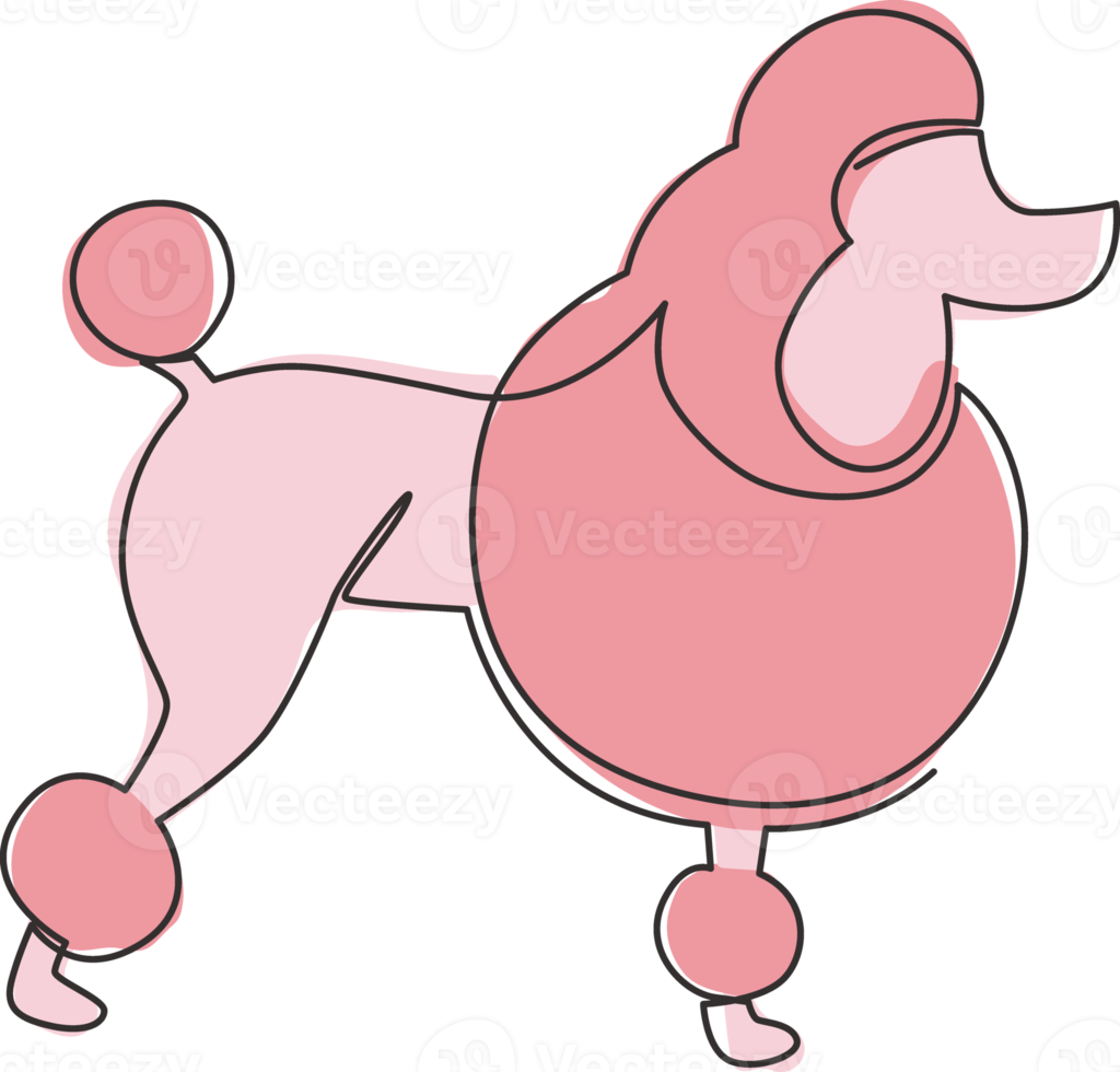 Single continuous line drawing of simple cute poodle puppy dog icon. Pet animal logo emblem vector concept. Modern one line draw design graphic illustration png