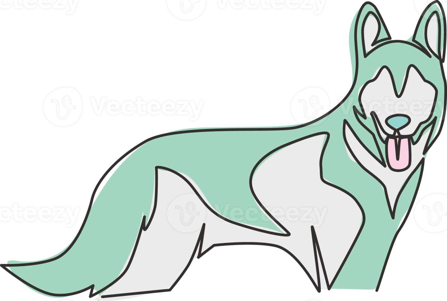 Single continuous line drawing of simple cute siberian husky  puppy dog icon. Pet animal logo emblem vector concept. Dynamic one line draw design graphic illustration png