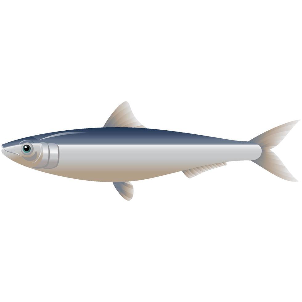 Cute Sea fish Cartoon vector