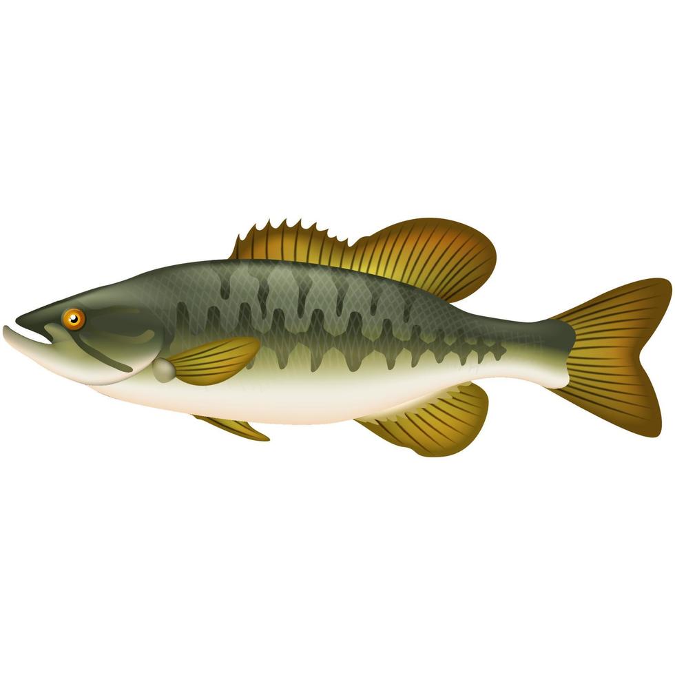 Cute Sea fish Cartoon vector