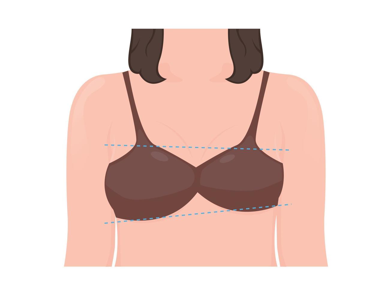 Asymmetric woman breast vector illustration