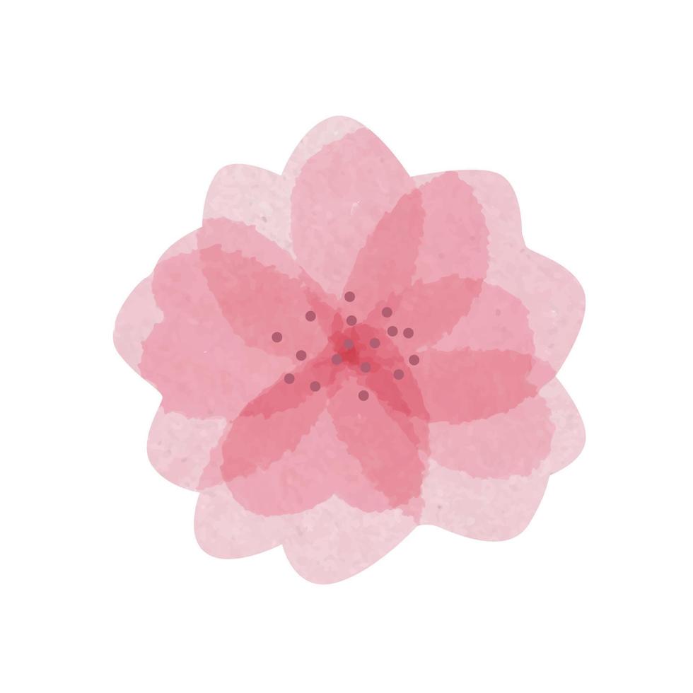 Isolated hand drawn beautiful watercolor sakura flower with messy transparent petals vector