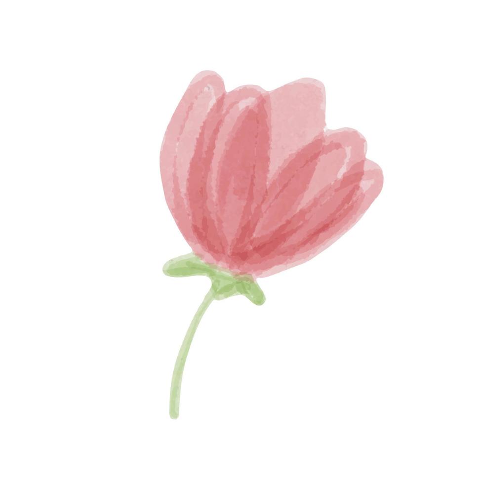 Hand drawn isolated beautiful tender watercolor pink flower vector