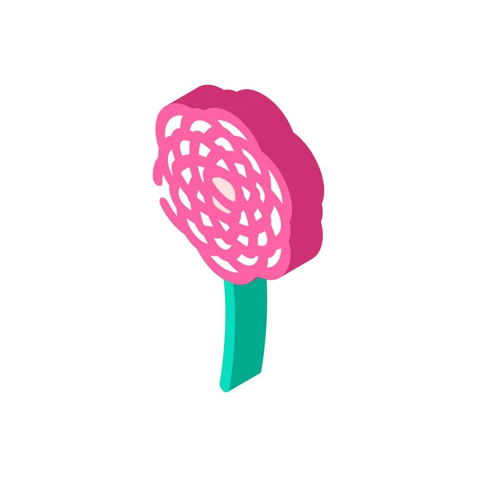 camellia flower spring isometric icon vector illustration