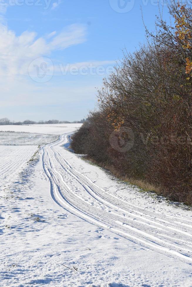 Tire Tracks in Deep Snow photo