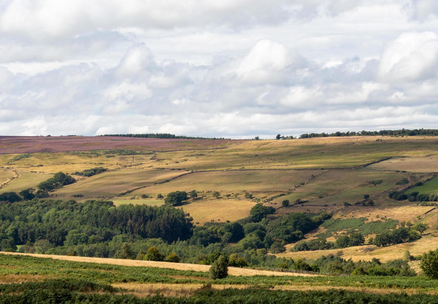 norte Yorkshire moros nacional parque foto