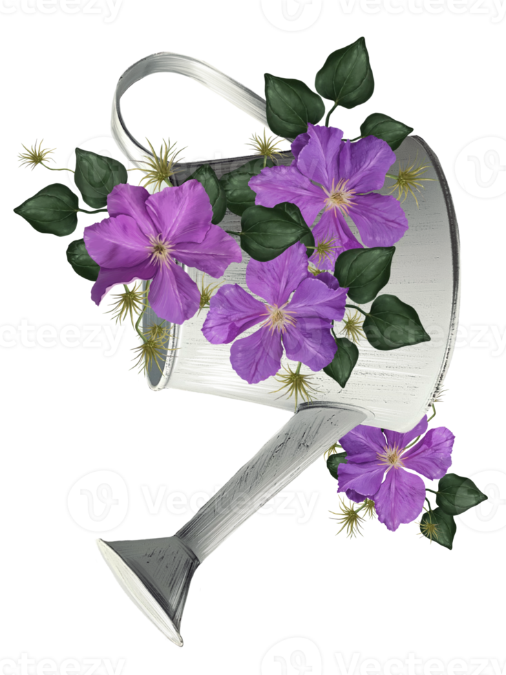 climatis in a garden illustration png