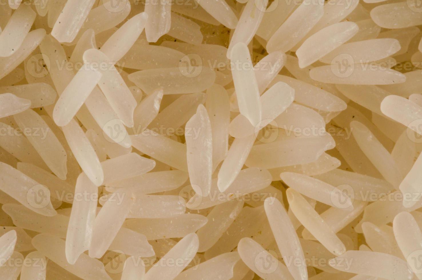 Rice background texture photo