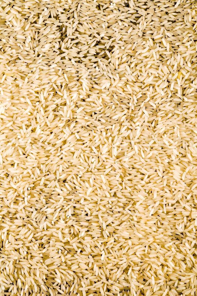 Rice background texture photo
