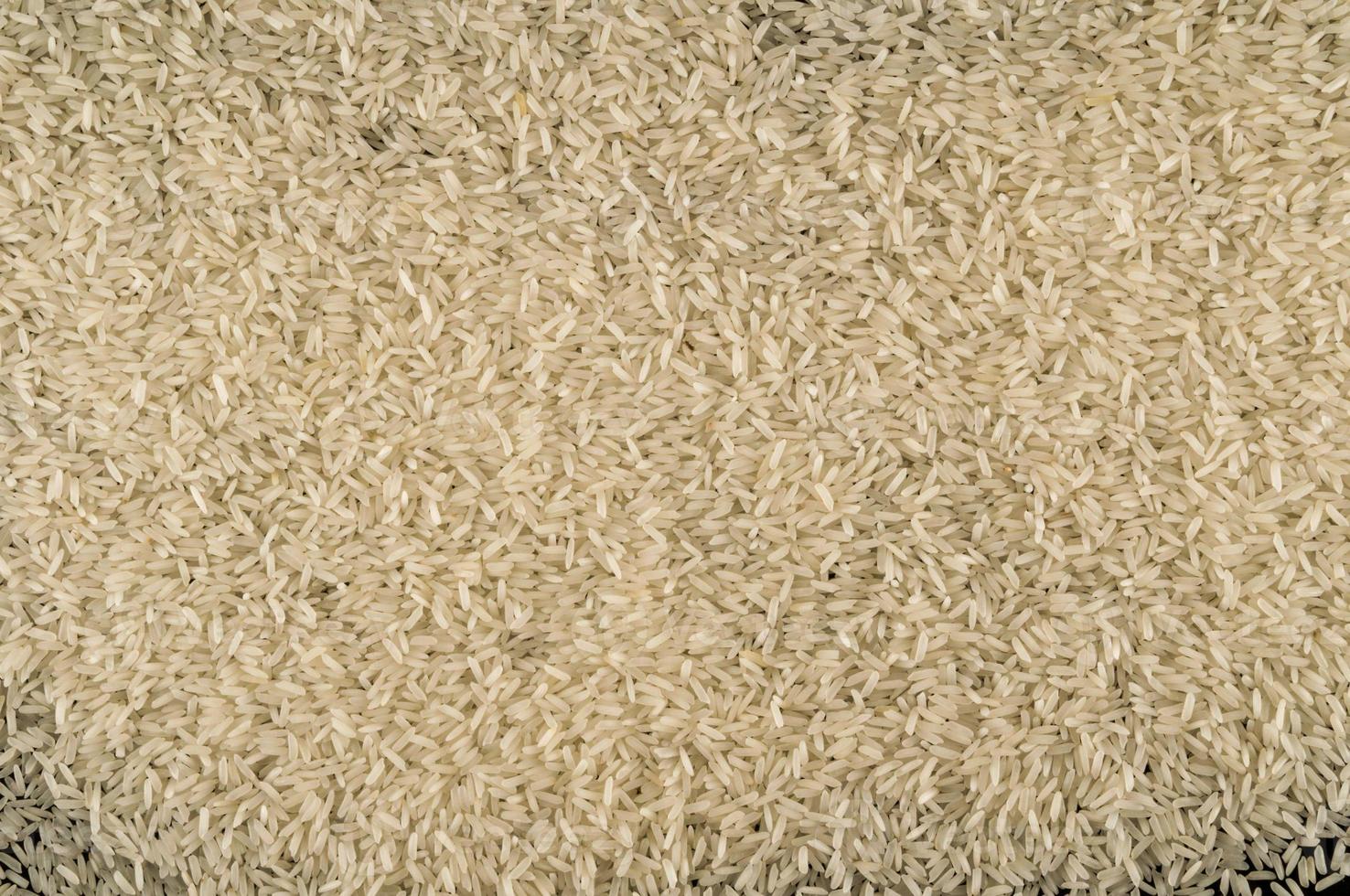 Rice background texture photo