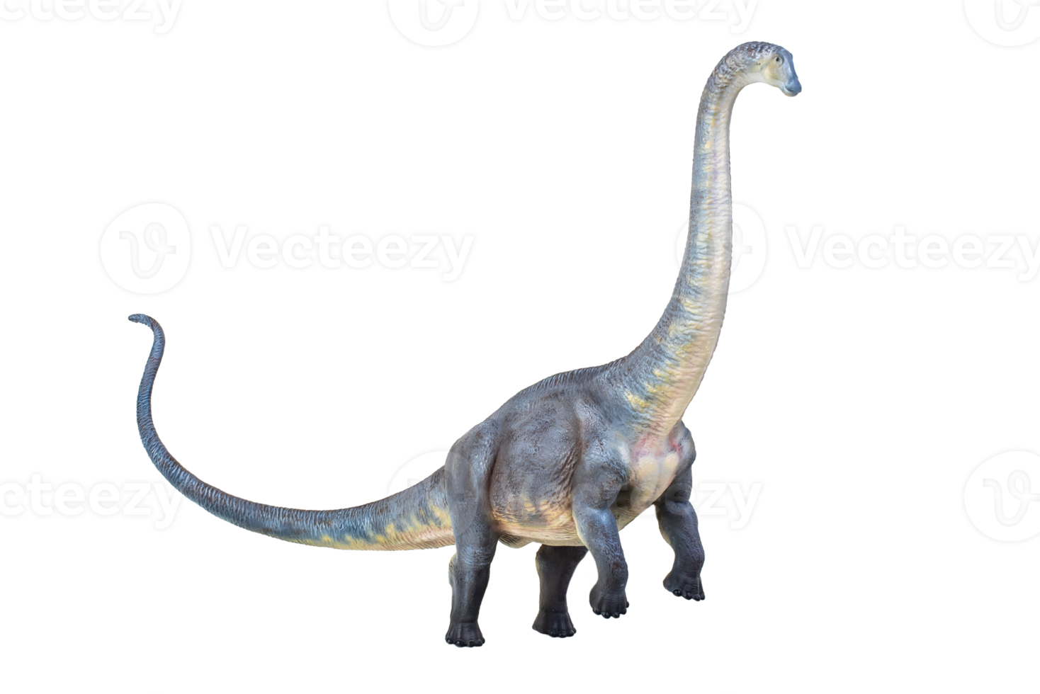 dinosauro , brontosauro isolato sfondo png
