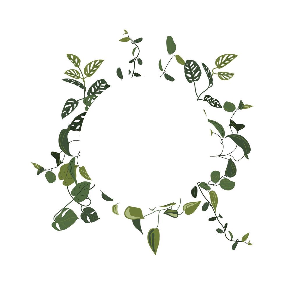 Trendy tropical leaves of different creepers with white circle sheet. Card with exotic leaves frame. Liana vector