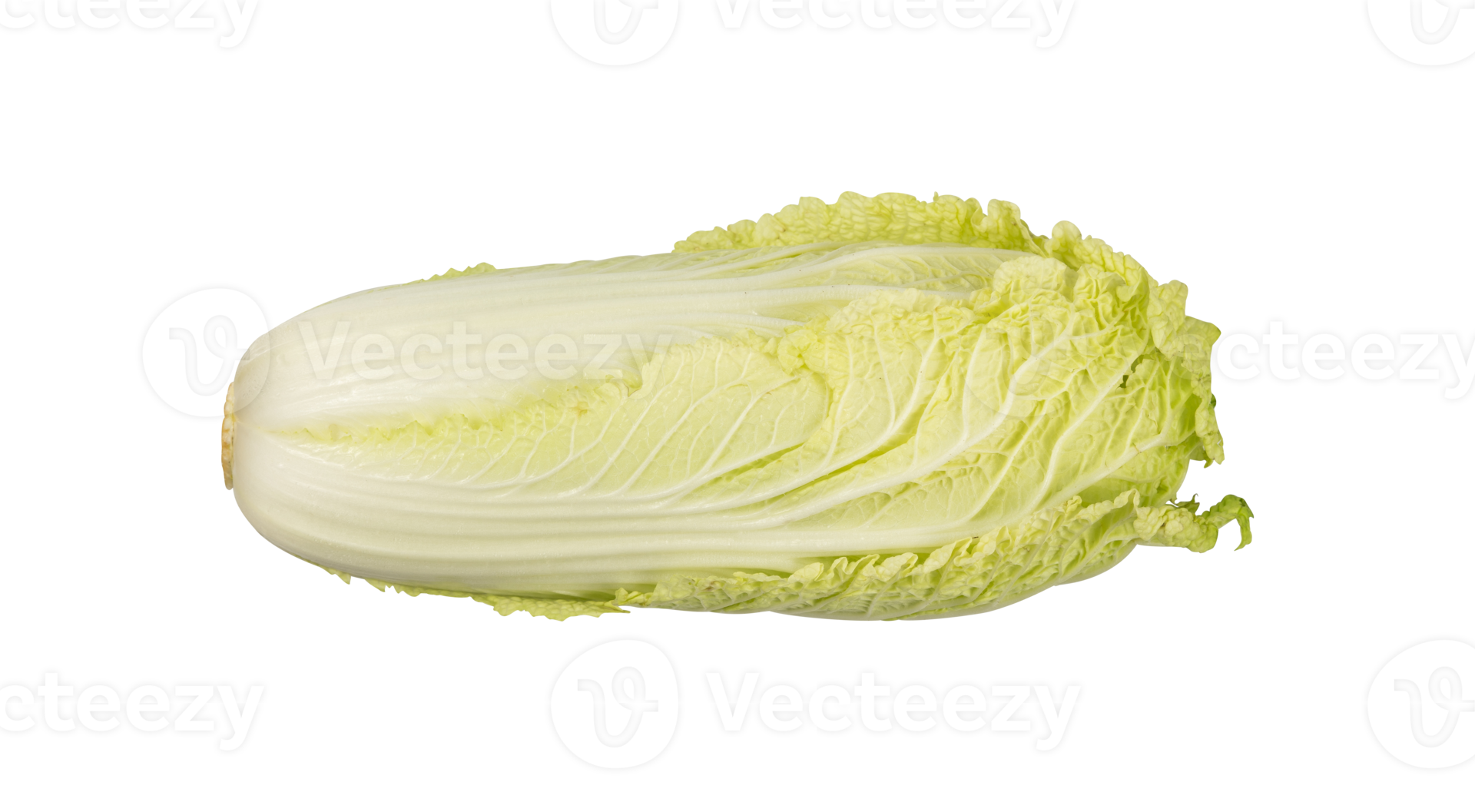 Fresh whole Chinese cabbage isolated 22609828 PNG