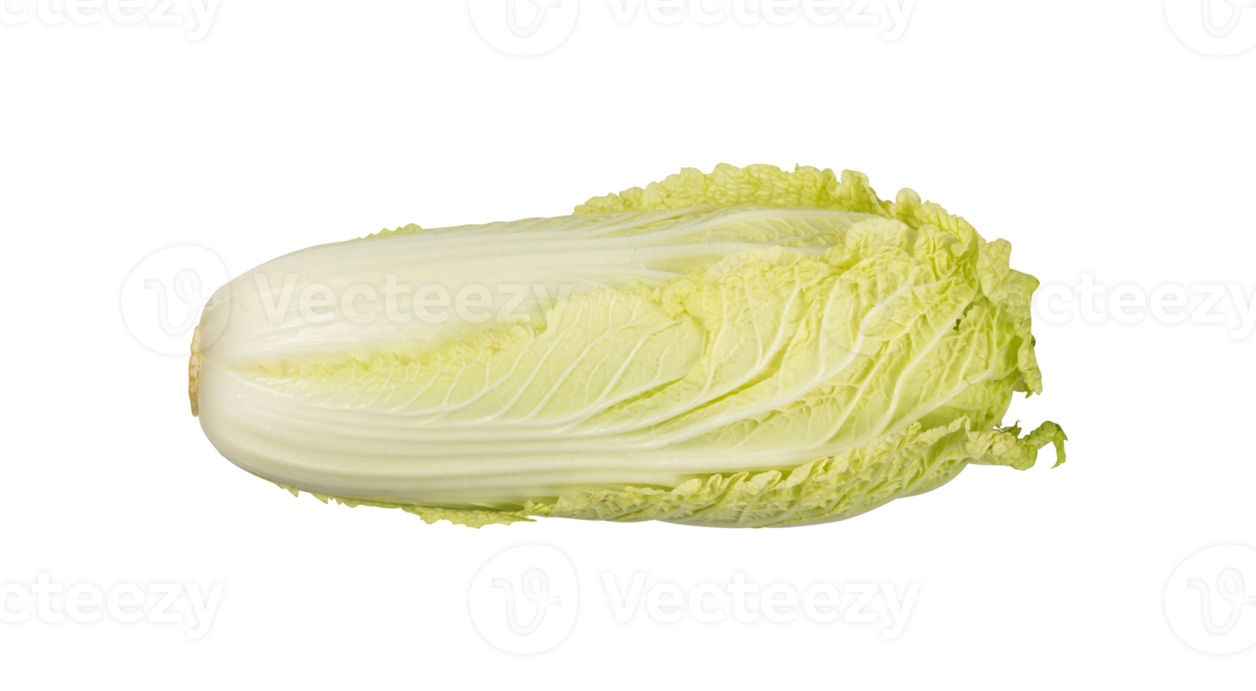 Fresh whole Chinese cabbage isolated png