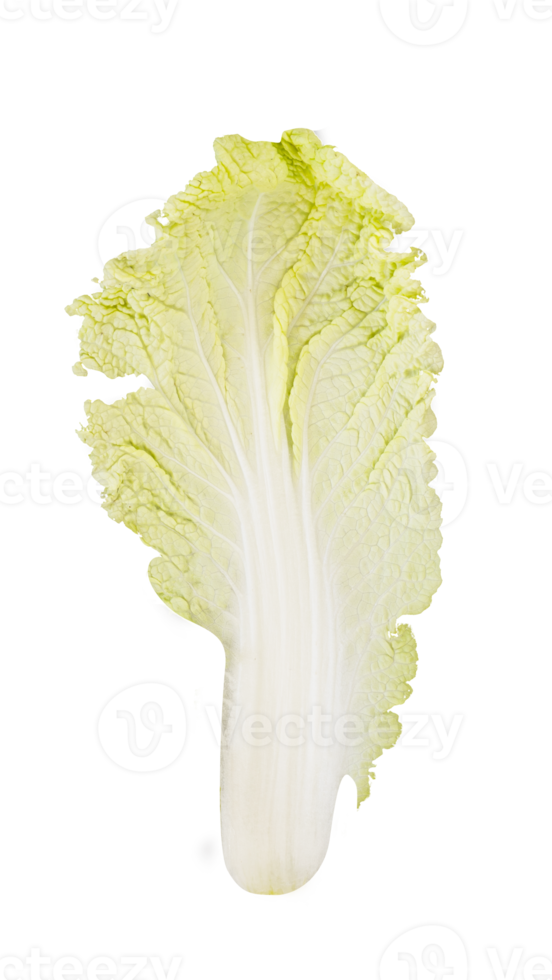 Chinese cabbage leaf isolated for vegan design element png