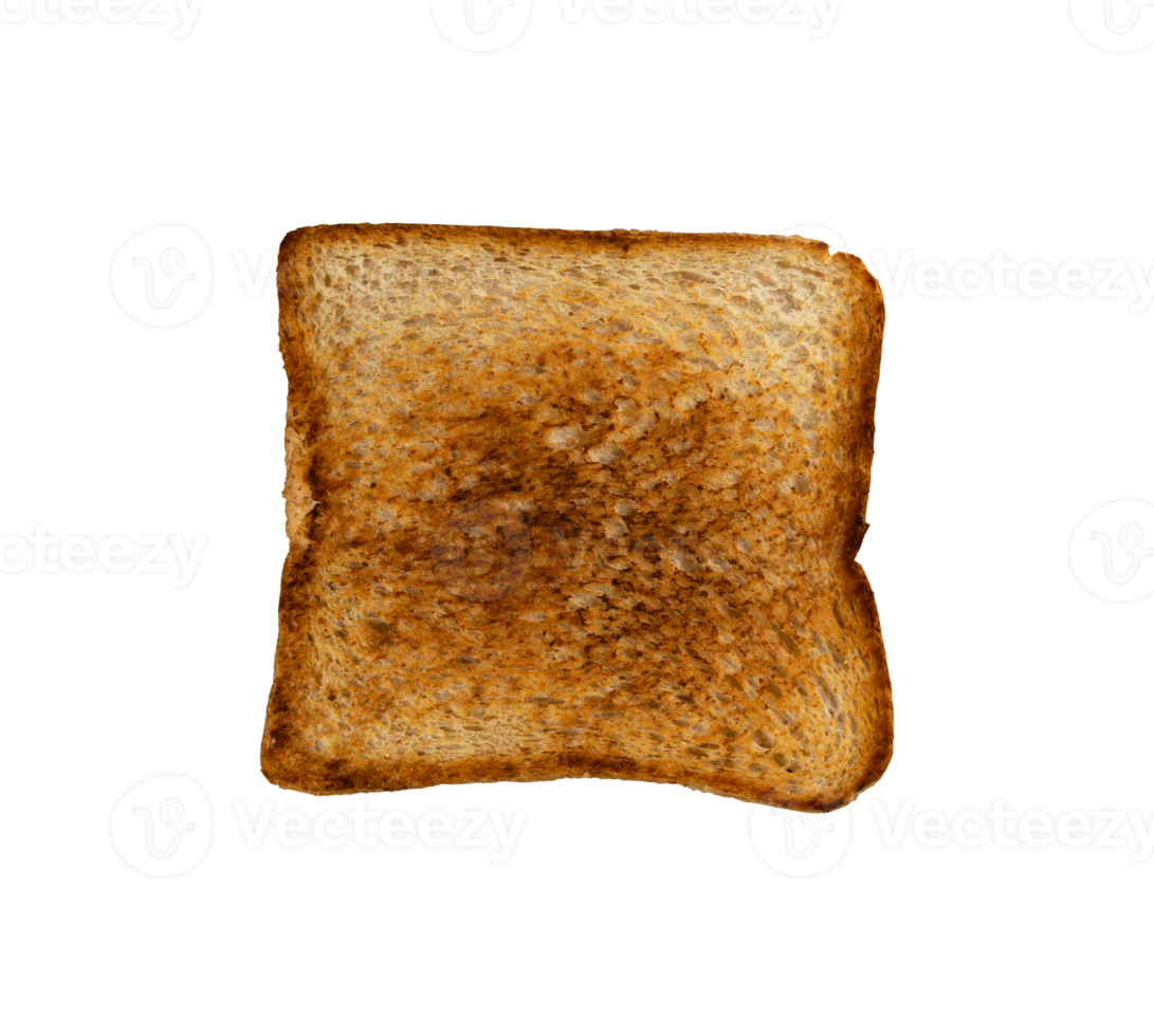 slice of overcooked baked white bread isolated png