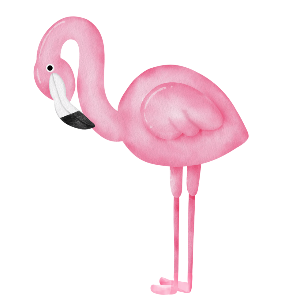 watercolor pink flamingo clipart. png