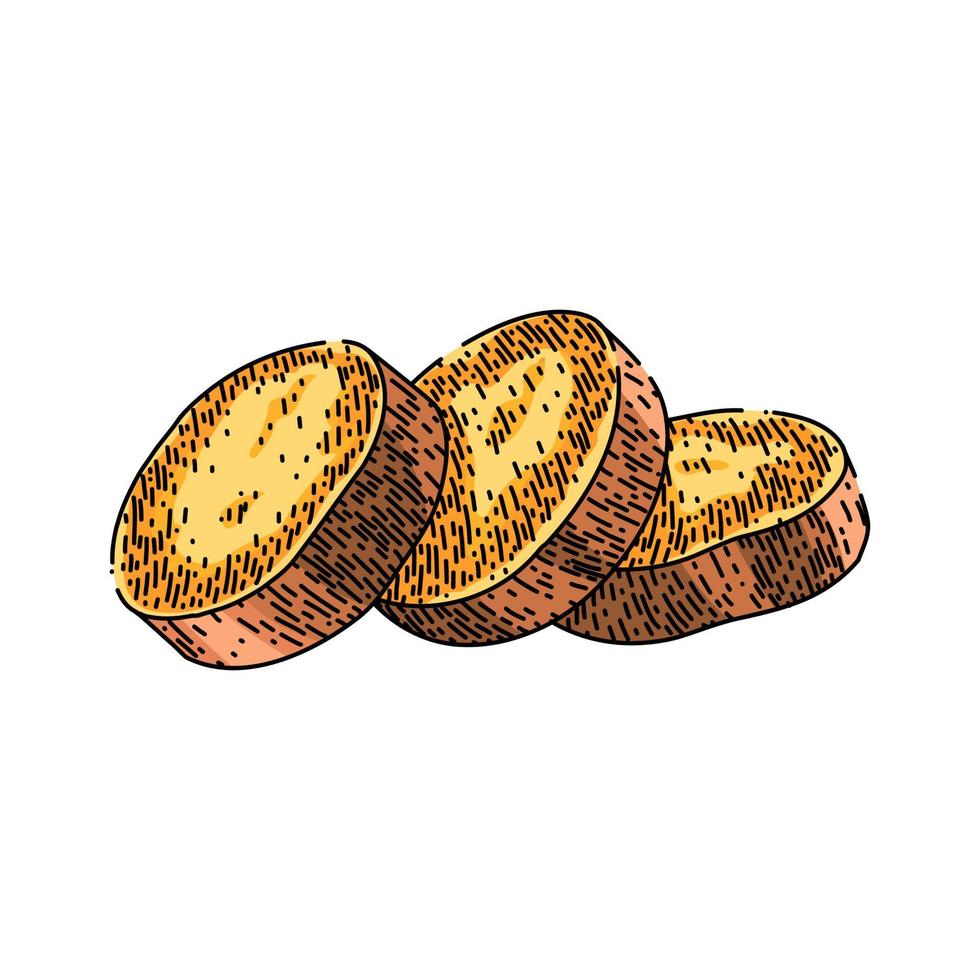 sweet potato slice sketch hand drawn vector