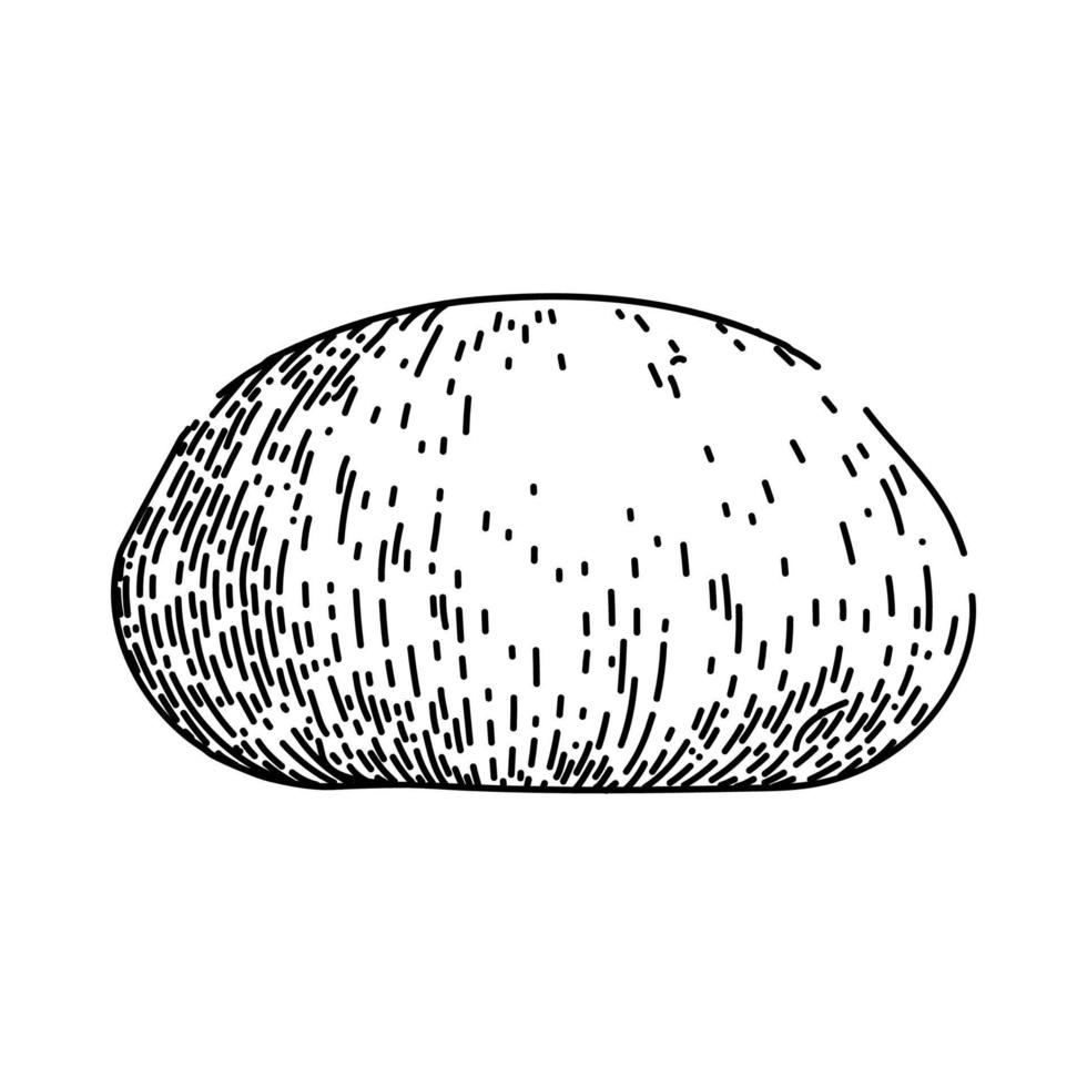 dough bakery sketch hand drawn vector