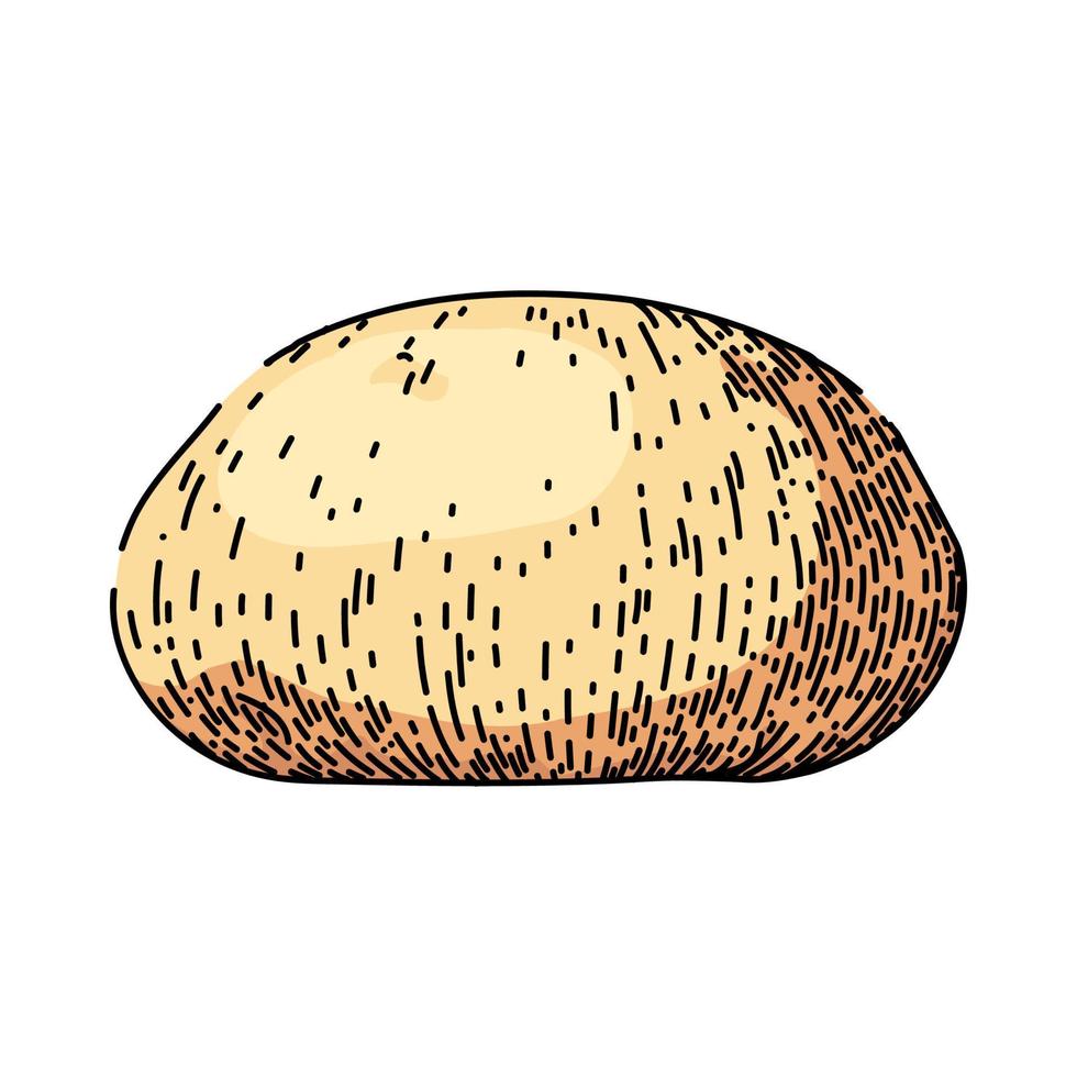 dough bakery sketch hand drawn vector