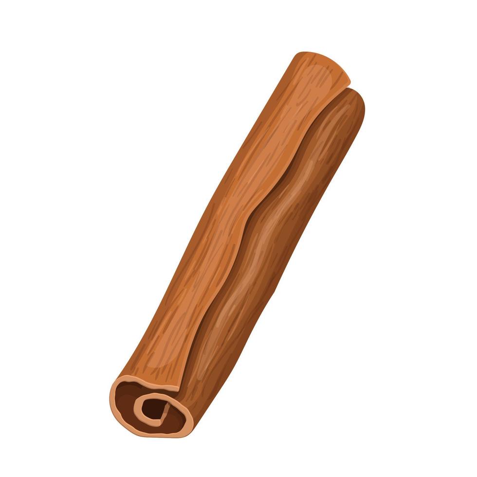 cinnamon stick food cartoon vector illustration