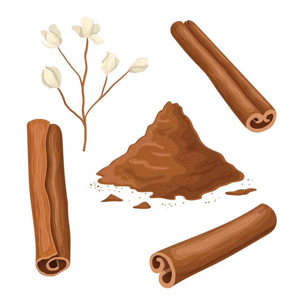 cinnamon stick spice set cartoon vector illustration