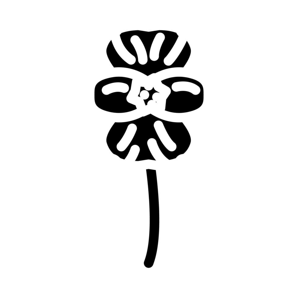 begonia flower spring glyph icon vector illustration