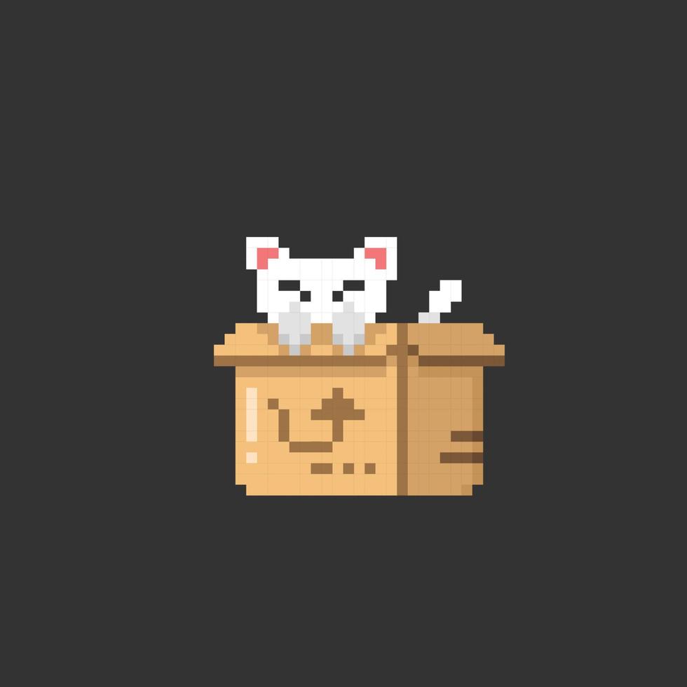 cat in the box with pixel art style vector