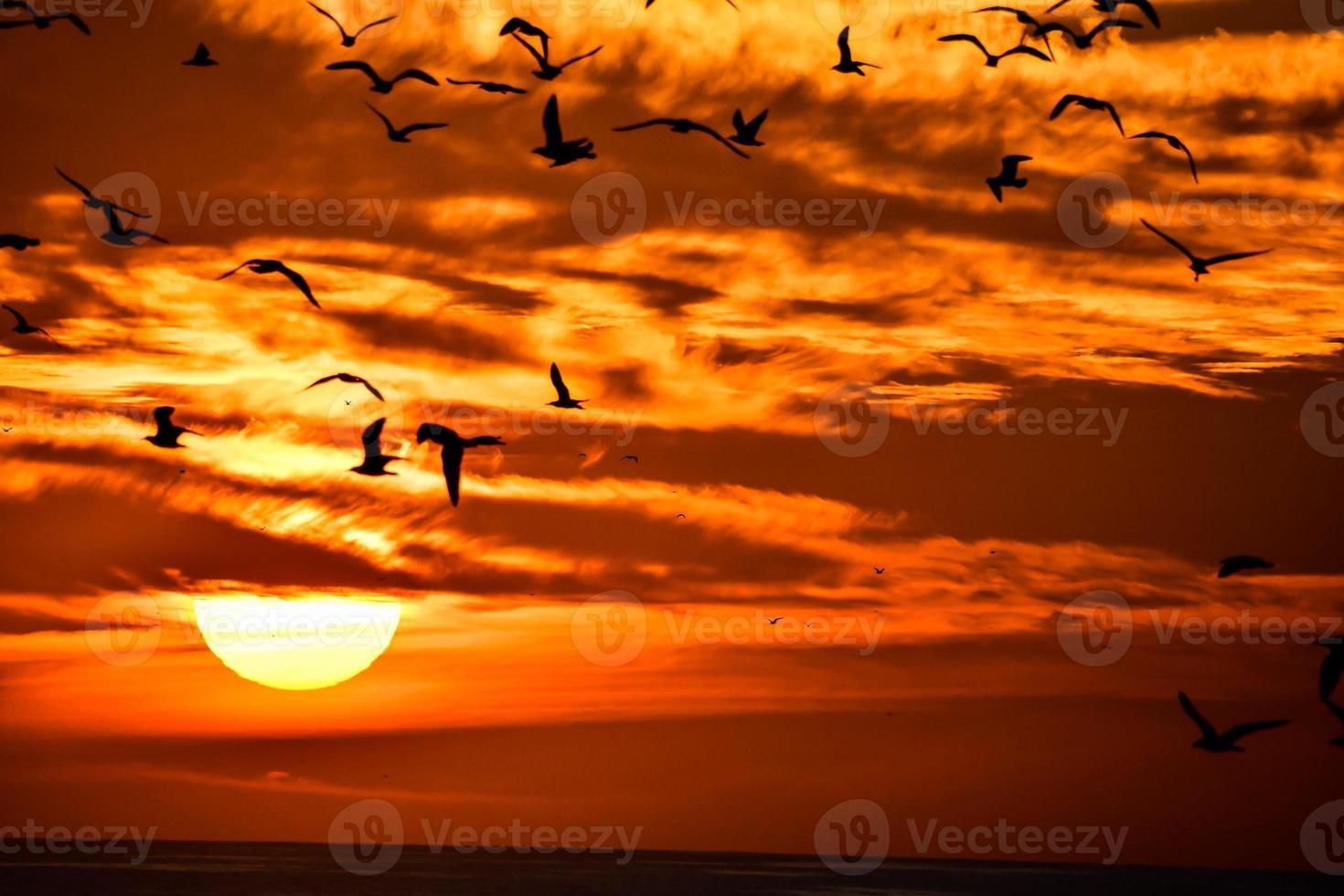 A beautiful sunset photo