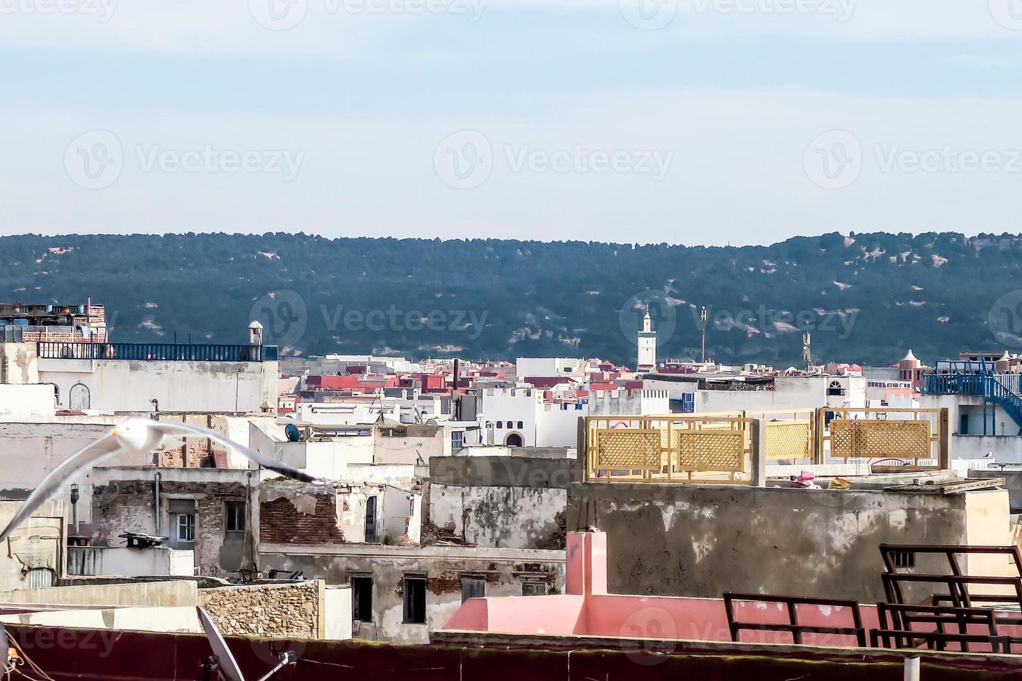 Buildings in the city photo