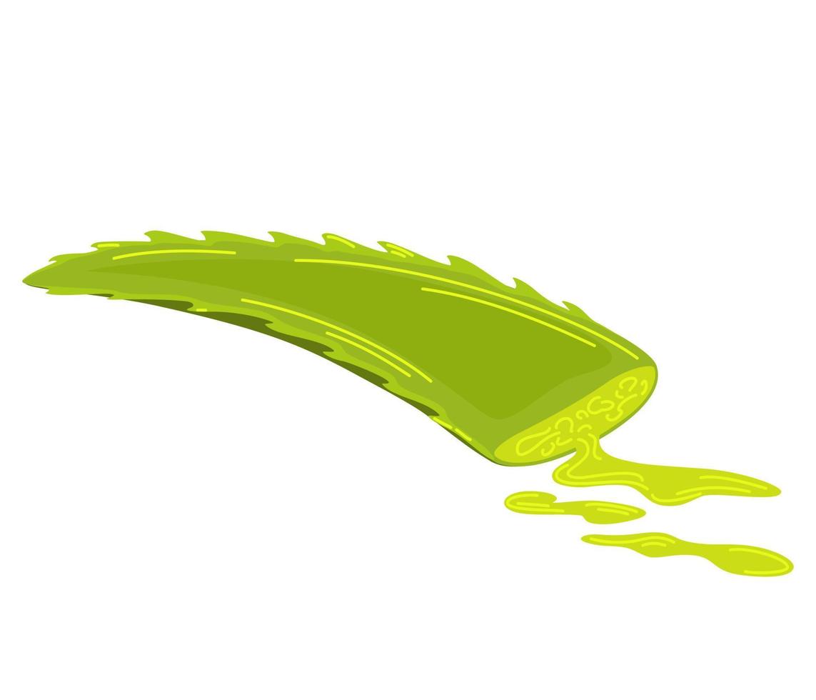 Aloe vera leaf with a drop of juice. Medicinal plant.  Ingredient for Cosmetic Products, printing and web. Vector cartoon illustration isolated on the white background.