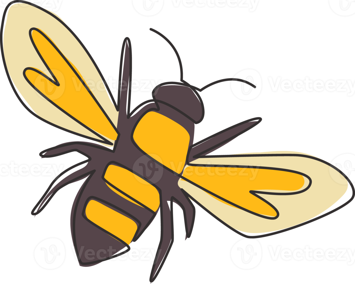 disegno a linea continua di un'ape decorativa per l'identità del logo della fattoria. concetto di icona del produttore a nido d'ape da forma animale di vespa. una linea disegnare grafica vettoriale illustrazione png