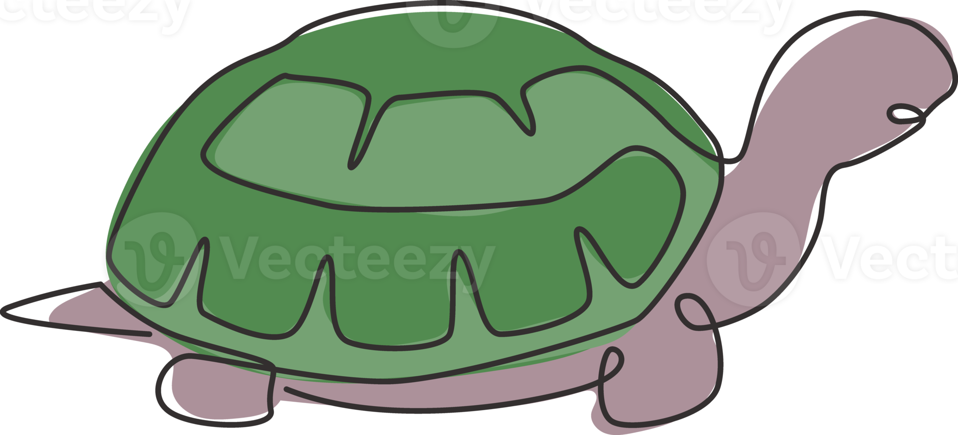 One single line drawing of big land tortoise for social company logo identity. Adorable creature reptile animal mascot concept for conservation foundation. Continuous line draw design illustration png